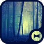 misty forest android application logo